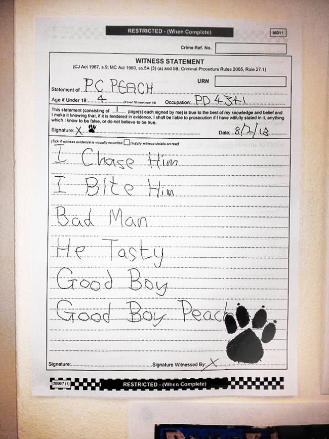 CPS asks dog to provide witness statement... RollOnFriday