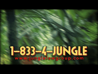 Jungle 1