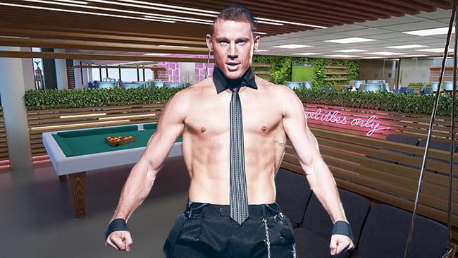 EXCLUSIVE Amateur stripper delights at law firm party