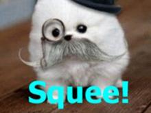 sqe min